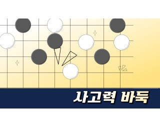 사고력 바둑